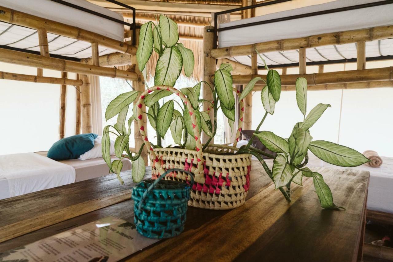 Dreamsea Surf Resort Nicaragua 산 후안 델 수르 외부 사진