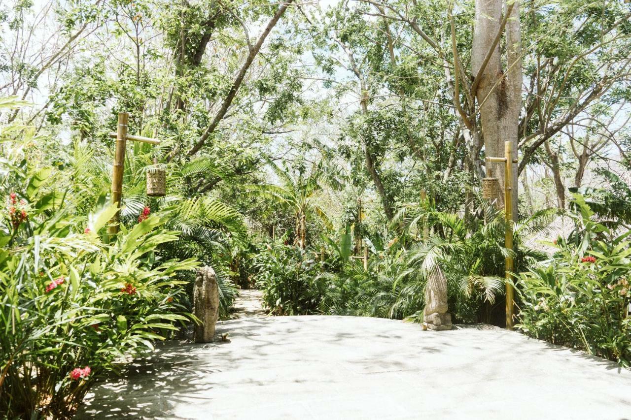 Dreamsea Surf Resort Nicaragua 산 후안 델 수르 외부 사진