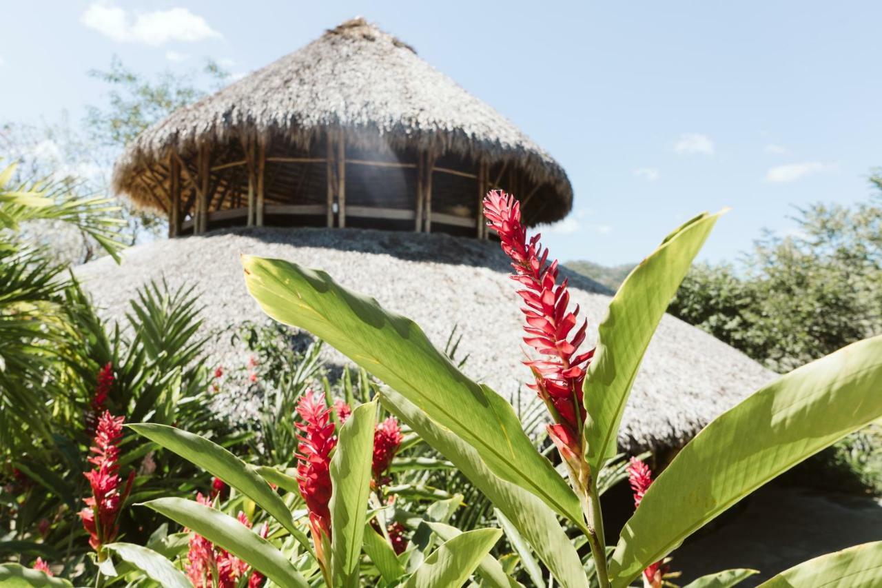 Dreamsea Surf Resort Nicaragua 산 후안 델 수르 외부 사진